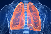 Lunge als Synonym für Lungenerkrankungen