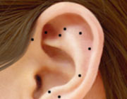 ohr mit akupunkturpunkten